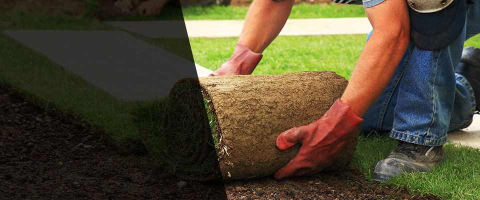 Uvalde Landscapers